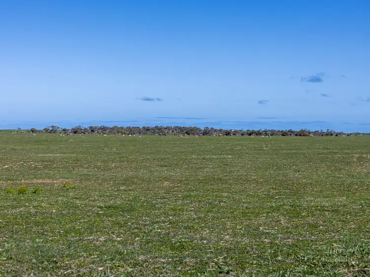 Fifth view of Homely rural property listing, Sect. 217 Old Saltworks Road, Warooka SA 5577