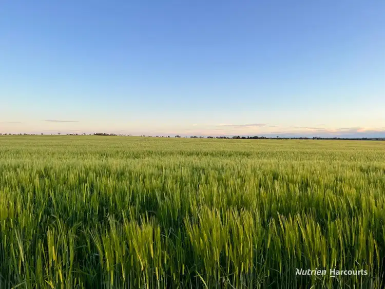 Second view of Homely rural property listing, . McCarthy Road, Bruce Rock WA 6418