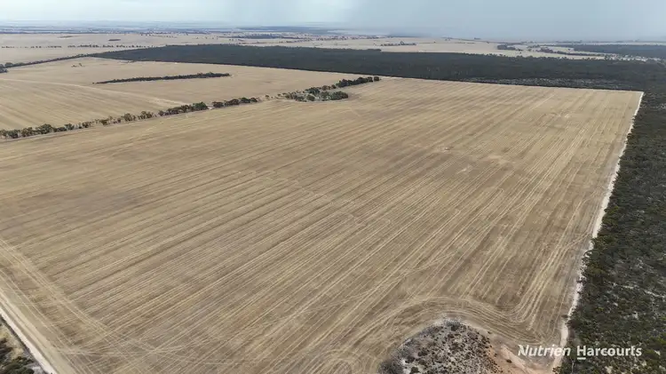 Sixth view of Homely rural property listing, . McCarthy Road, Bruce Rock WA 6418