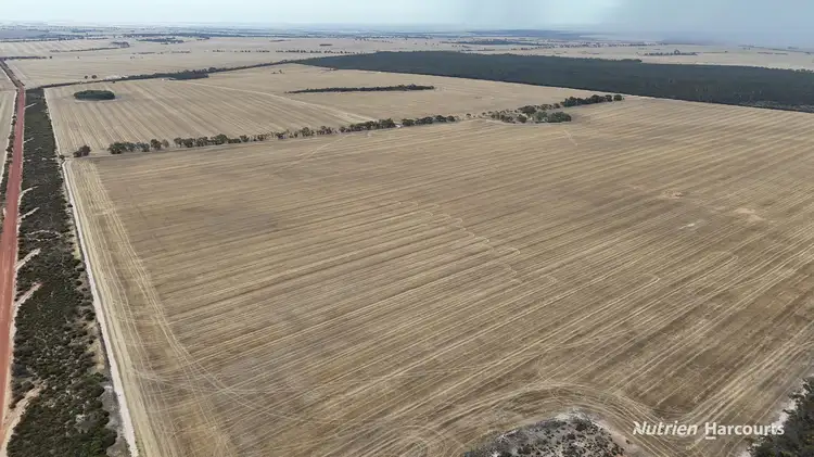 Seventh view of Homely rural property listing, . McCarthy Road, Bruce Rock WA 6418