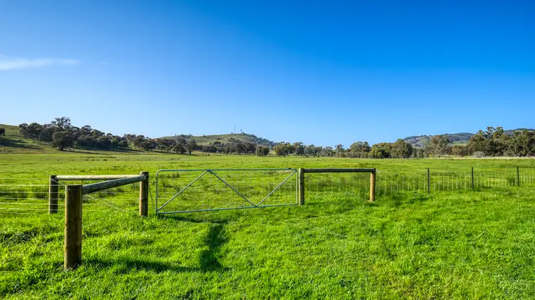 175 Balmattum Road, Violet Town VIC 3669
