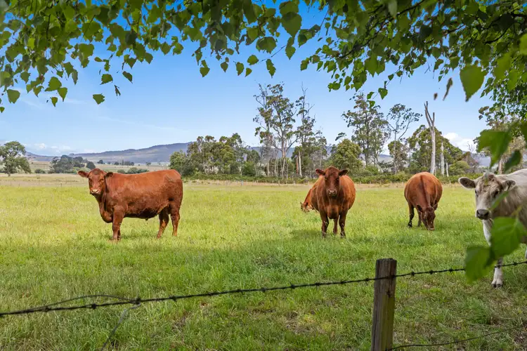 Sixth view of Homely rural property listing, 528 Avenue Road, Parkham TAS 7304