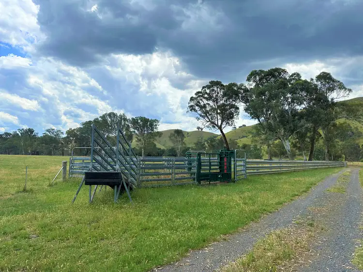 Seventh view of Homely rural property listing, 624 Maintongoon Road, Maintongoon VIC 3714