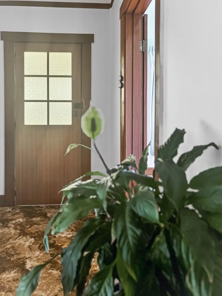 Sixth view of Homely house listing, 1 Main Street, St Marys TAS 7215