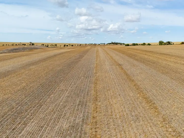 Fourth view of Homely rural property listing, Lot 823 Stevies Road, Ardrossan SA 5571