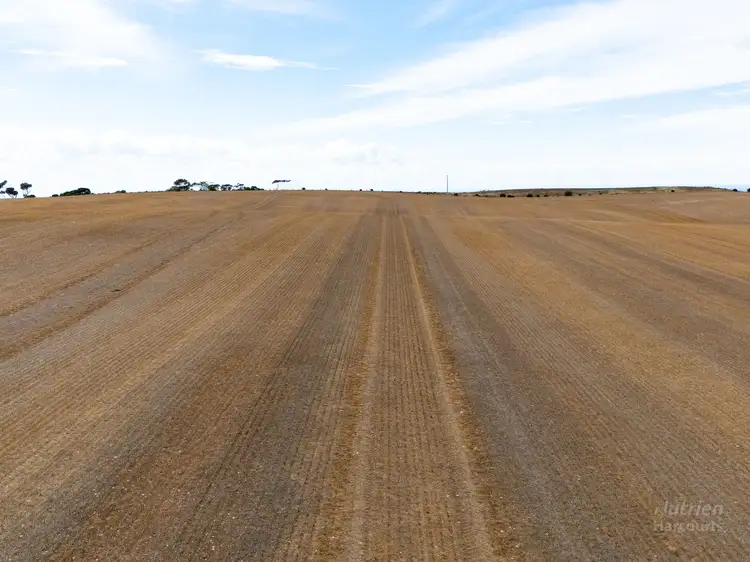 Fifth view of Homely rural property listing, Lot 823 Stevies Road, Ardrossan SA 5571