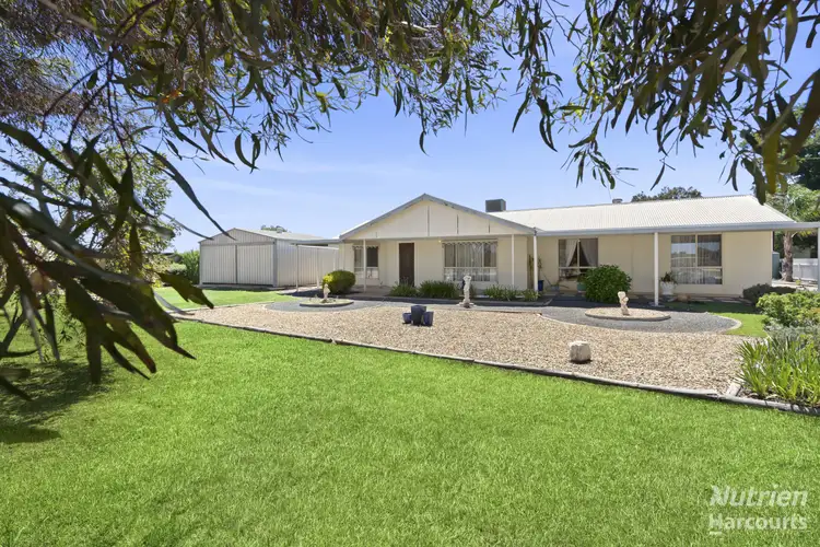 55 Government Road, Renmark SA 5341
