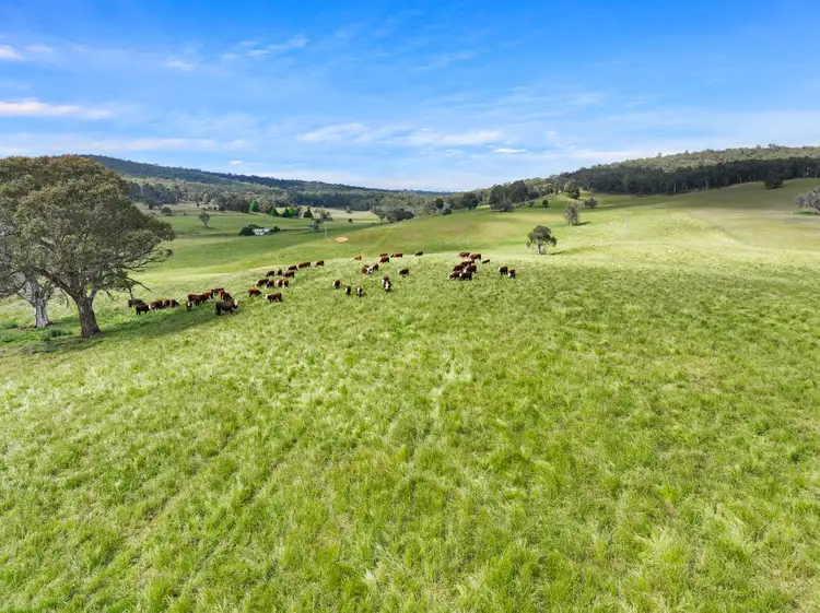 Second view of Homely rural property listing, 1026 Lower Bendoc Road, Bendoc VIC 3888