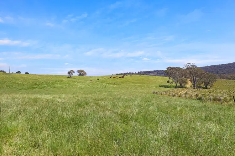 Third view of Homely rural property listing, 1026 Lower Bendoc Road, Bendoc VIC 3888