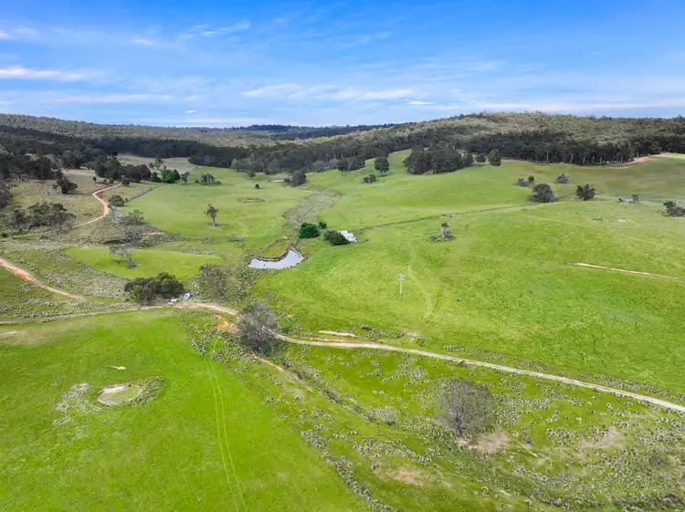 Fifth view of Homely rural property listing, 1026 Lower Bendoc Road, Bendoc VIC 3888