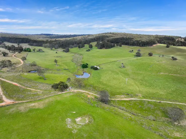 Sixth view of Homely rural property listing, 1026 Lower Bendoc Road, Bendoc VIC 3888