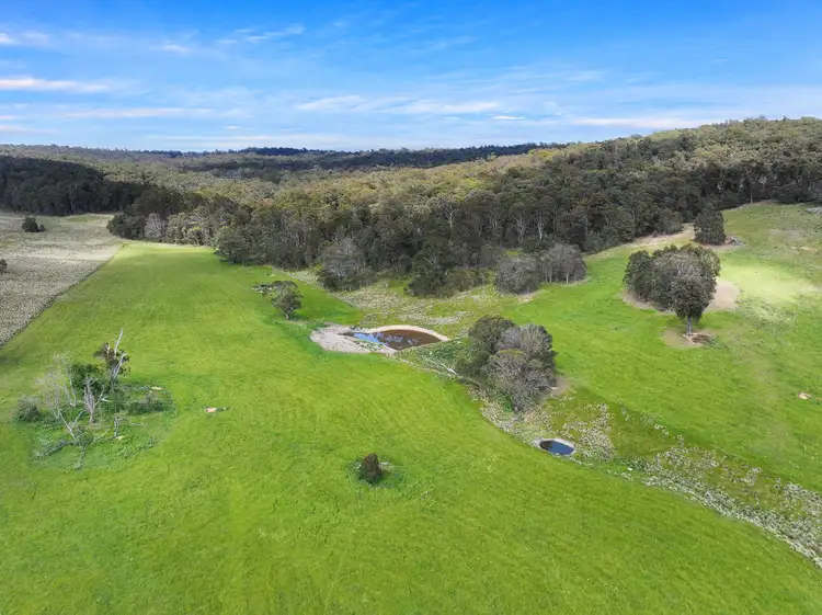 Seventh view of Homely rural property listing, 1026 Lower Bendoc Road, Bendoc VIC 3888