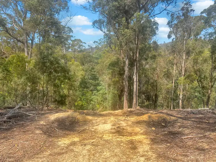 Third view of Homely land listing, PID 6792782 Granite Knob Road, Scamander TAS 7215