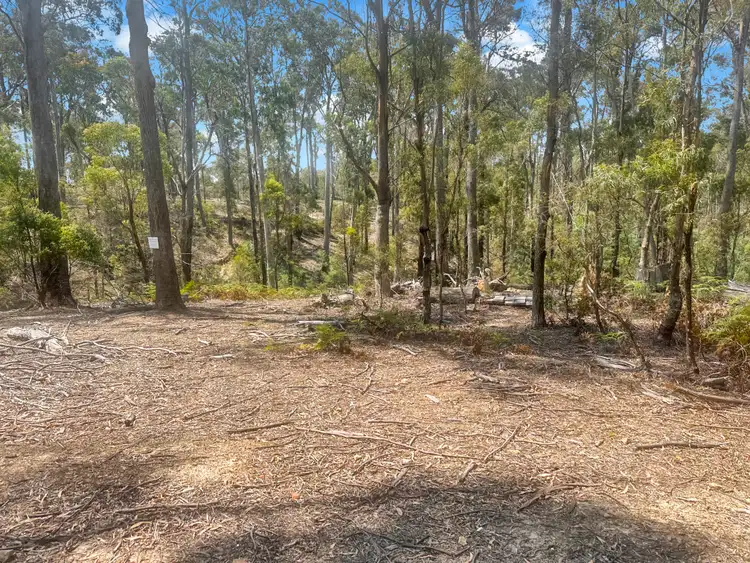 Fourth view of Homely land listing, PID 6792782 Granite Knob Road, Scamander TAS 7215