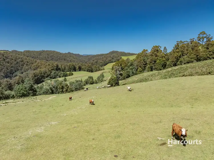 Sixth view of Homely rural property listing, 00 Keetanah Road, Natone TAS 7321