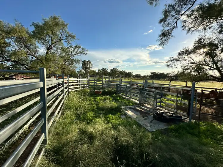 Fourth view of Homely rural property listing, 'Carlton' 5227 Carnarvon Highway, Roma QLD 4455