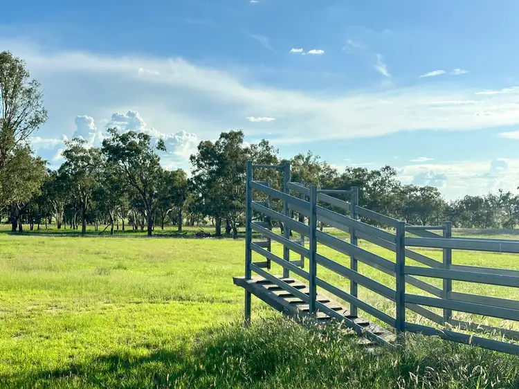 Fifth view of Homely rural property listing, 'Carlton' 5227 Carnarvon Highway, Roma QLD 4455