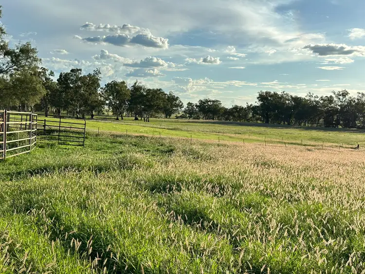 Sixth view of Homely rural property listing, 'Carlton' 5227 Carnarvon Highway, Roma QLD 4455
