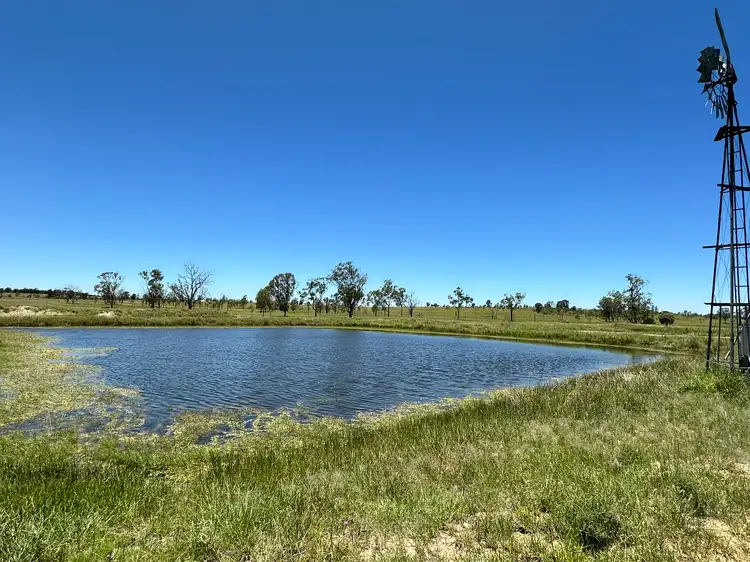 Seventh view of Homely rural property listing, 'Carlton' 5227 Carnarvon Highway, Roma QLD 4455