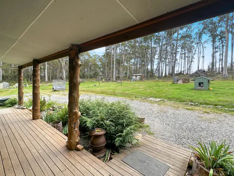 231 Dakins Road, Gray TAS 7215