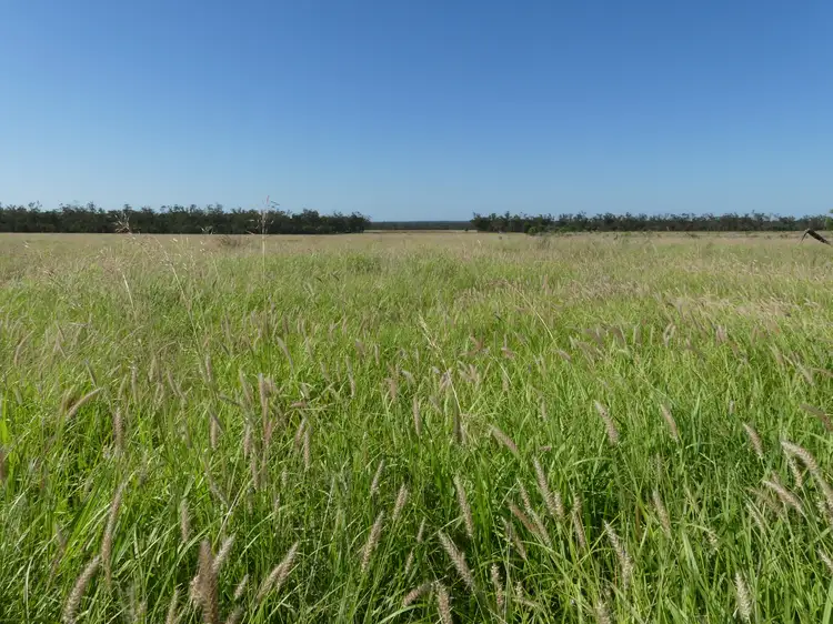 Second view of Homely rural property listing, 'Noona' 1958 Noona Road, Surat QLD 4417