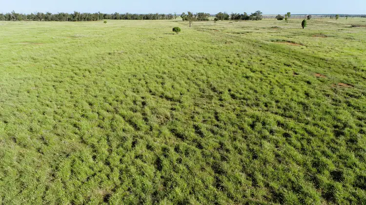 Third view of Homely rural property listing, 'Noona' 1958 Noona Road, Surat QLD 4417