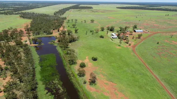 Fourth view of Homely rural property listing, 'Noona' 1958 Noona Road, Surat QLD 4417