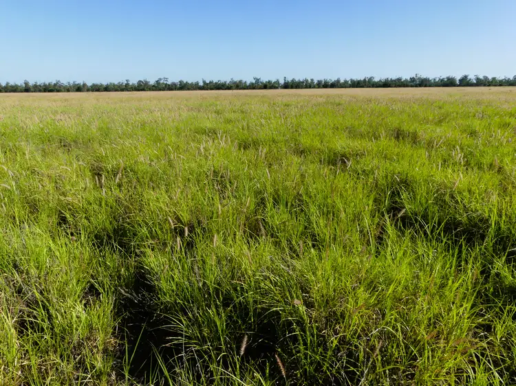 Fifth view of Homely rural property listing, 'Noona' 1958 Noona Road, Surat QLD 4417
