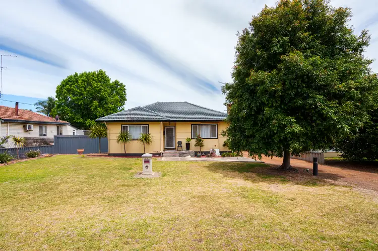 31 Moyes Street, Manjimup WA 6258