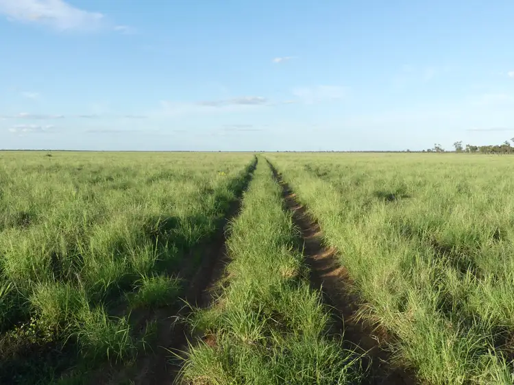 'North Harriman' Balonne Highway, Cunnamulla QLD 4490