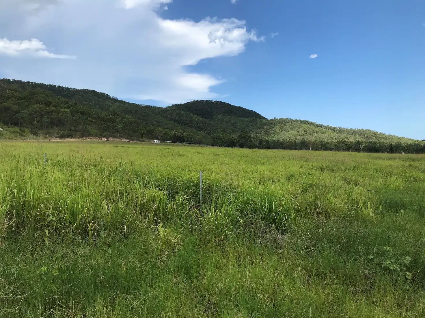Main view of Homely rural property listing, 244 Jacksons Crossing Road, Carmila QLD 4739