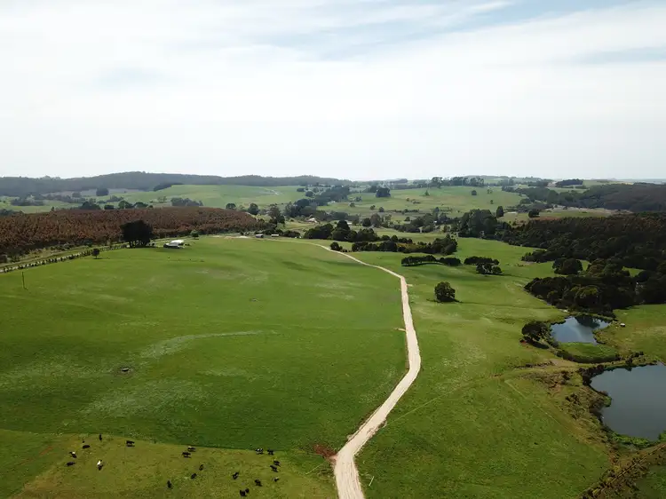 Fifth view of Homely rural property listing, 2319 Murchison Highway, Henrietta TAS 7325