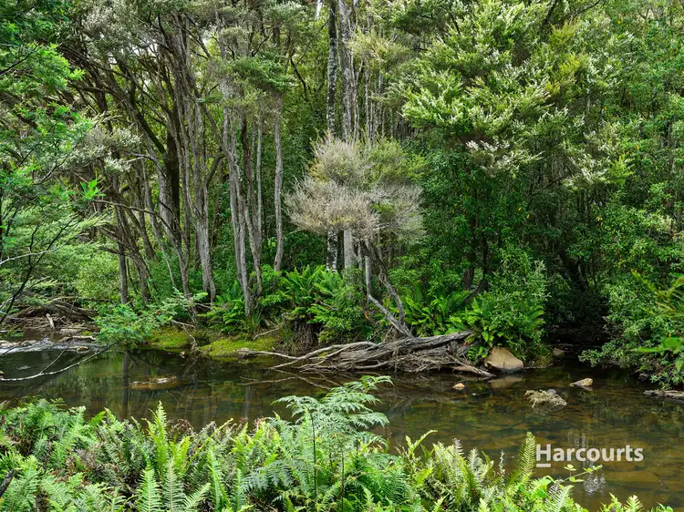 Seventh view of Homely rural property listing, 00 Chromys Road, Takone TAS 7325