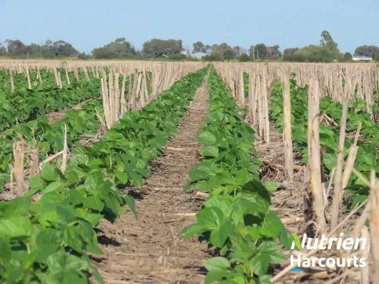 "Wilgalee" D Atkins Road, Chinchilla QLD 4413