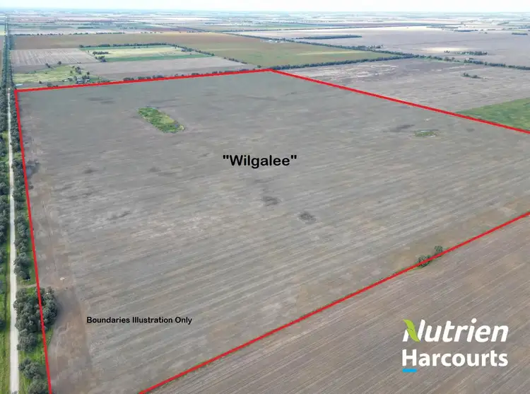 Second view of Homely rural property listing, "Wilgalee" D Atkins Road, Chinchilla QLD 4413