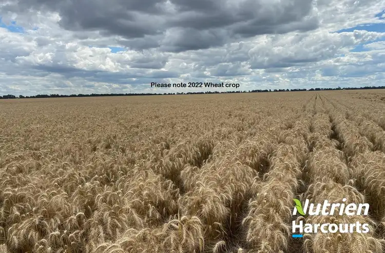 Fourth view of Homely rural property listing, "Wilgalee" D Atkins Road, Chinchilla QLD 4413