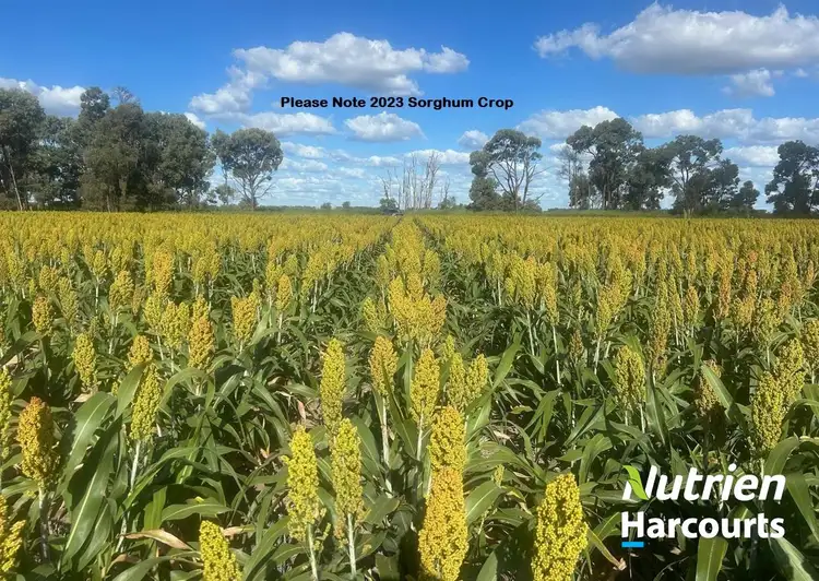 Sixth view of Homely rural property listing, "Wilgalee" D Atkins Road, Chinchilla QLD 4413