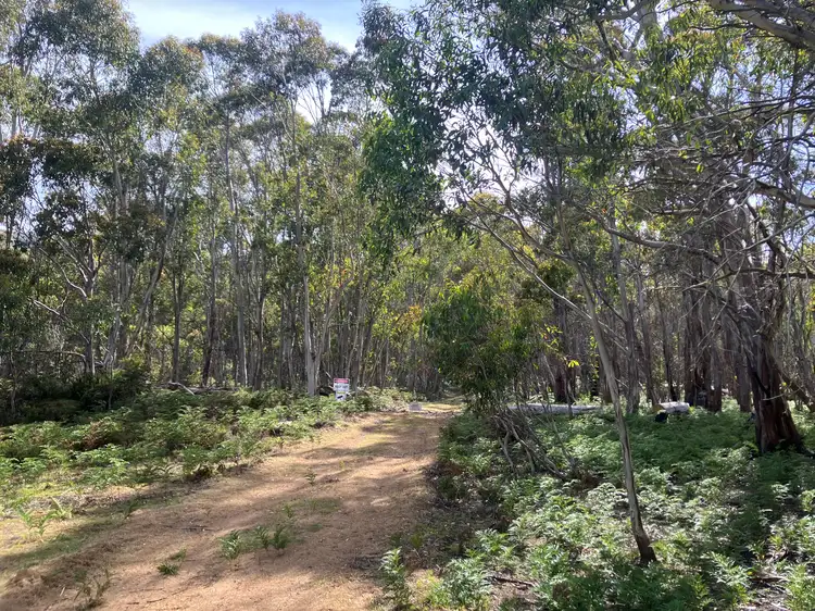 Third view of Homely rural property listing, . Victoria Valley Road, Dee TAS 7140