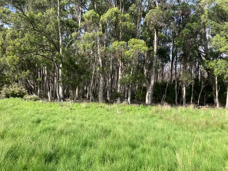Sixth view of Homely rural property listing, . Victoria Valley Road, Dee TAS 7140
