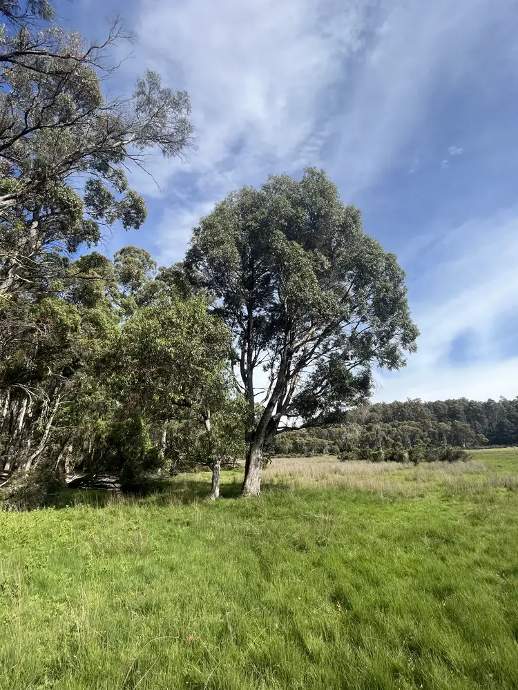 Seventh view of Homely rural property listing, . Victoria Valley Road, Dee TAS 7140