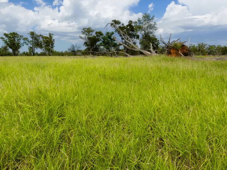 Second view of Homely rural property listing, 'Gundi' 19181 Carnarvon Highway Highway, Surat QLD 4417