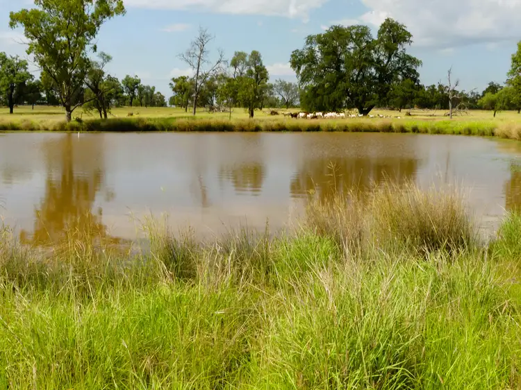Third view of Homely rural property listing, 'Gundi' 19181 Carnarvon Highway Highway, Surat QLD 4417