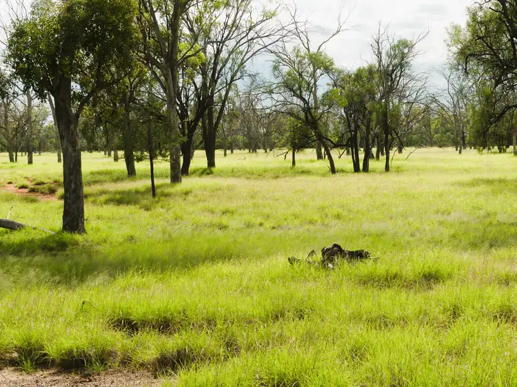 Fifth view of Homely rural property listing, 'Gundi' 19181 Carnarvon Highway Highway, Surat QLD 4417