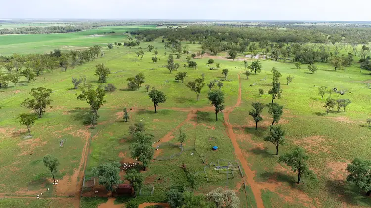 Sixth view of Homely rural property listing, 'Gundi' 19181 Carnarvon Highway Highway, Surat QLD 4417