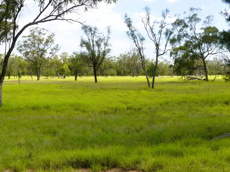 Seventh view of Homely rural property listing, 'Gundi' 19181 Carnarvon Highway Highway, Surat QLD 4417