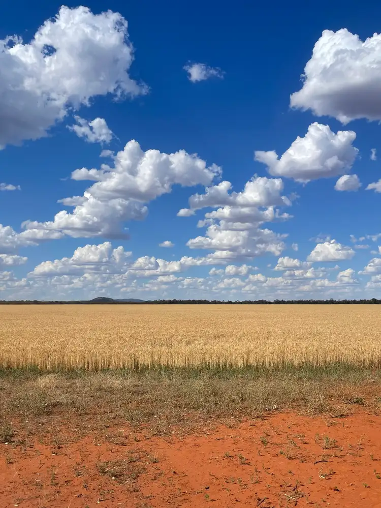 FOR LEASE. North Woey, Lake Cargelligo NSW 2672