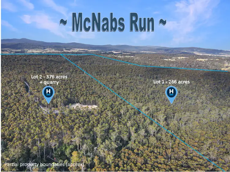 Main view of Homely rural property listing, 25851 Tasman Highway, St Helens TAS 7216