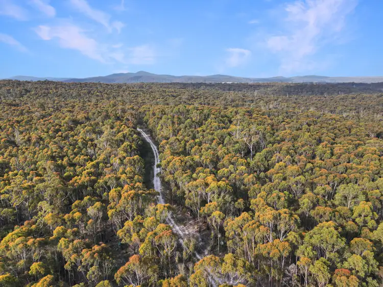 Second view of Homely rural property listing, 25851 Tasman Highway, St Helens TAS 7216