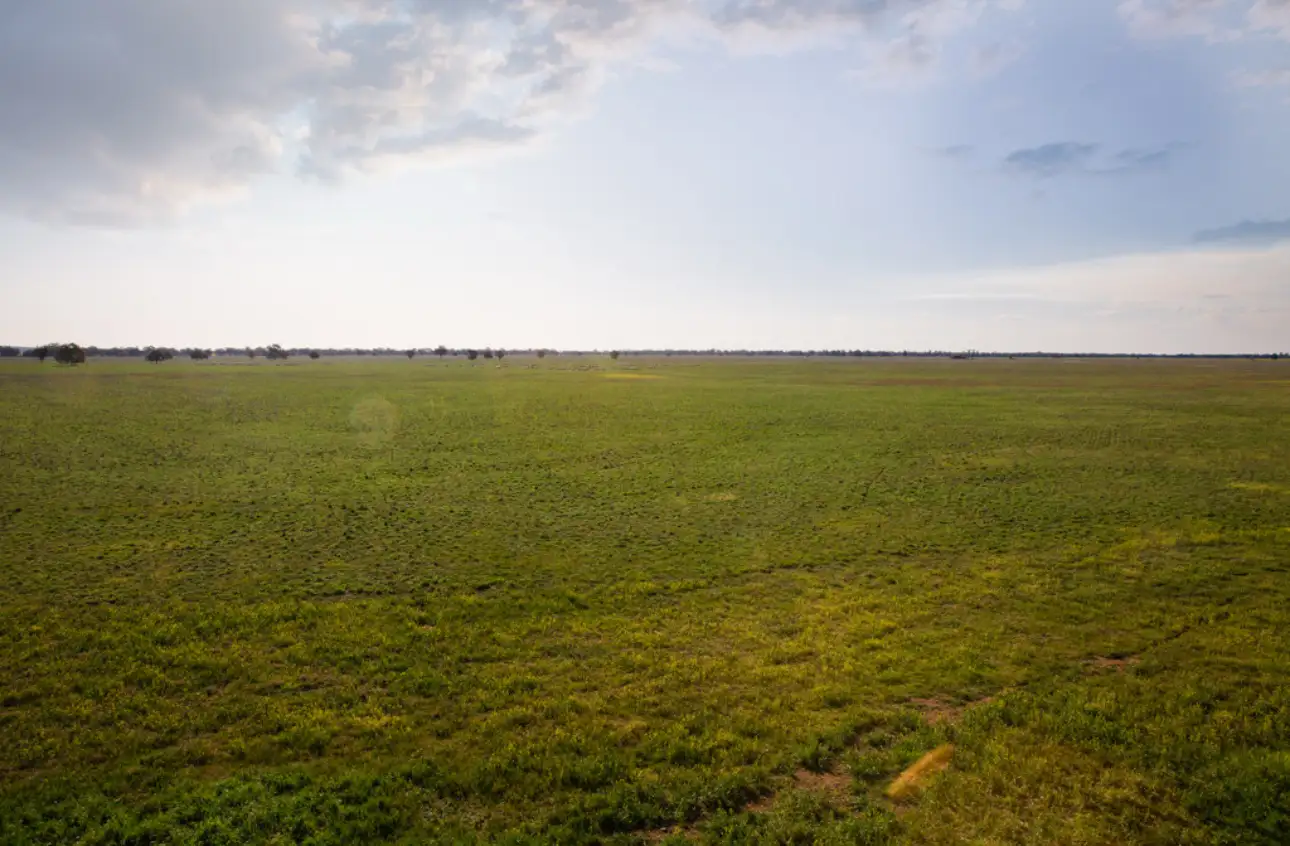Main view of Homely rural property listing, . NEWHAVEN, Burcher NSW 2671