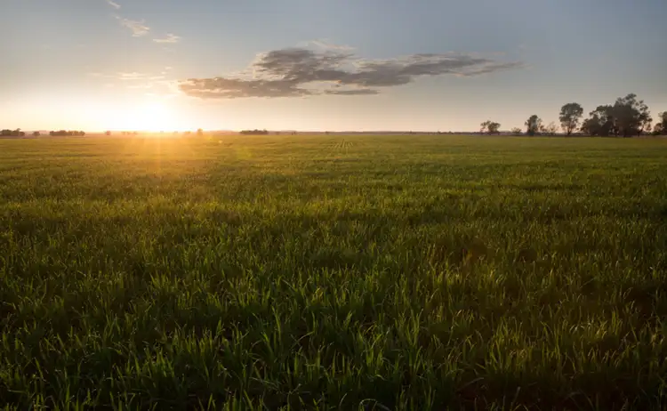 Third view of Homely rural property listing, . NEWHAVEN, Burcher NSW 2671
